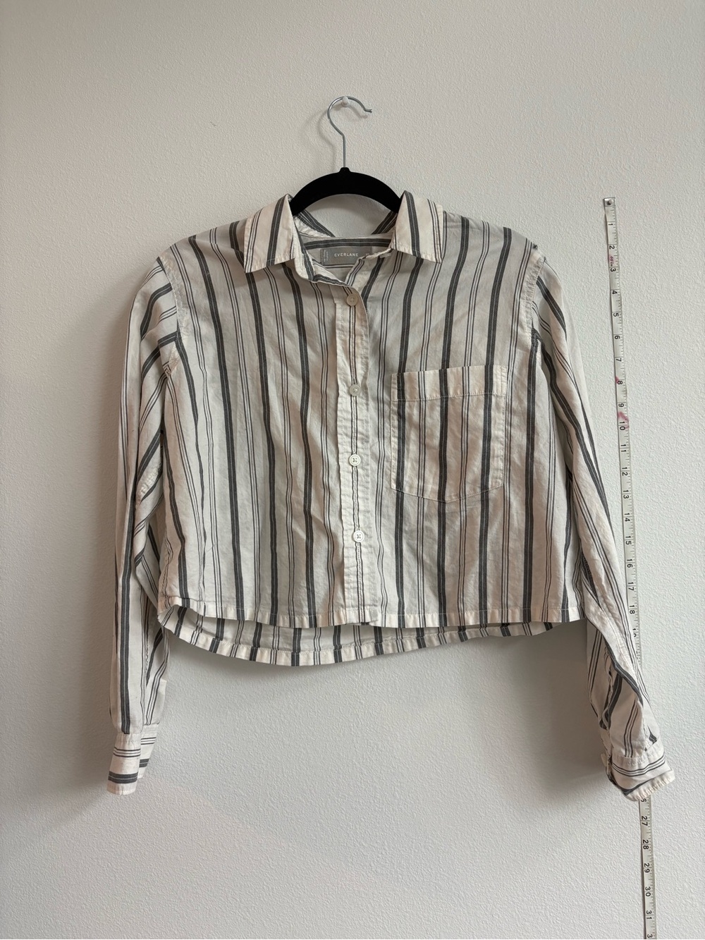 Everlane White & Gray Striped Button-Front Shirt